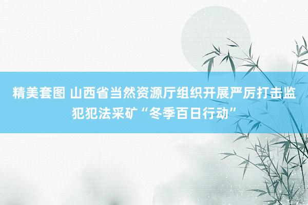精美套图 山西省当然资源厅组织开展严厉打击监犯犯法采矿“冬季百日行动”