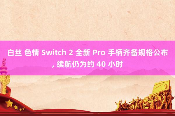 白丝 色情 Switch 2 全新 Pro 手柄齐备规格公布， 续航仍为约 40 小时