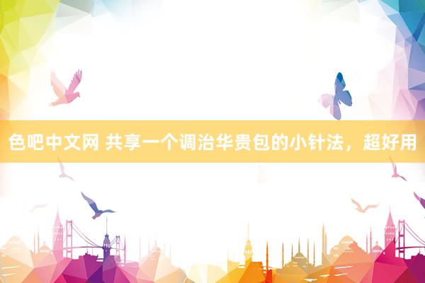 色吧中文网 共享一个调治华贵包的小针法，超好用