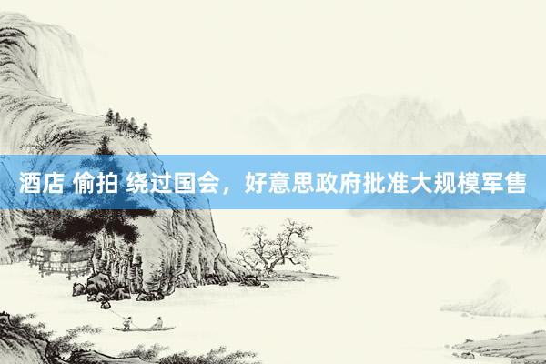 酒店 偷拍 绕过国会，好意思政府批准大规模军售